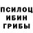 Псилоцибиновые грибы Magic Shrooms DIGITTALLL