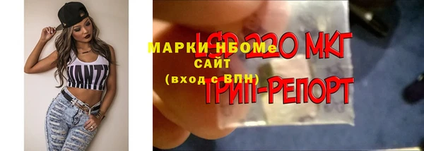мдпв Магас