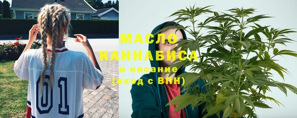 мдпв Магас